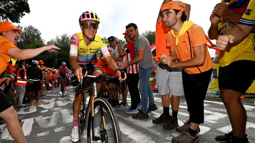 Carapaz met 3 knieschijven